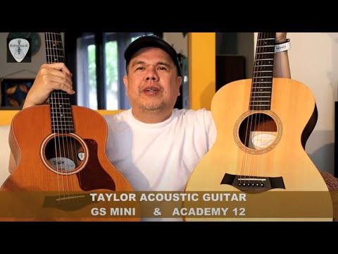 Taylor GS Mini
