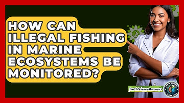 How Can Illegal Fishing In Marine Ecosystems Be Monitored? - Earth Science Answers