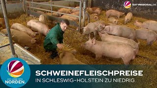 Download lagu Schweinefleisch Zu Günstig: Immer Mehr Landwirte In Schleswig-holstein Machen Di mp3
