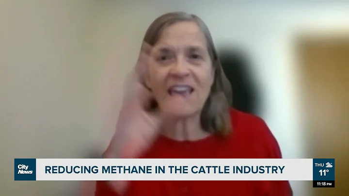 Reducing methane in cattle industry