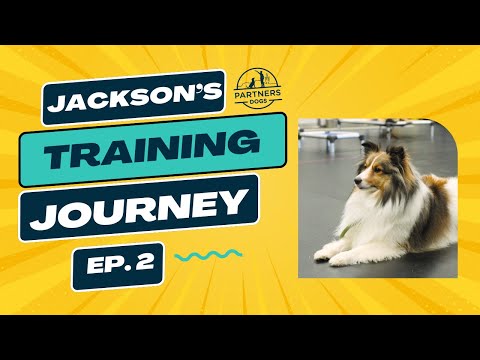 Jackson: Episode 2
