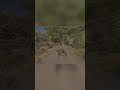 Driving a Delicate Machine: Navigating Tricky Tree Turns #shorts