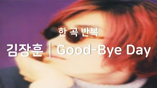 [광고없음┃한곡반복] 김장훈 - Good-Bye Day