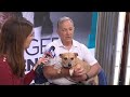 Four Legged Friends: Dixie's adoption