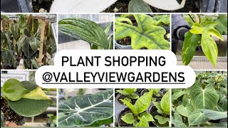 Plant Shopping @ Valleyview (uncommon plants and common plants) by lifeofbellina 1,968 views 2 months ago 27 minutes