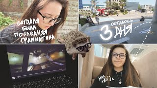 KOREA VLOG DIARY| прошли все грамматики / подготовка к экзаменам или моя жизнь в Корее| 3-4.05.2024