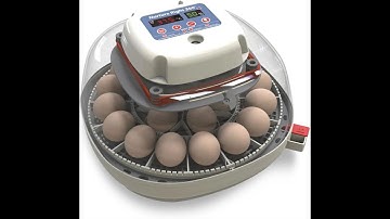 Nurture Right 360 Overview