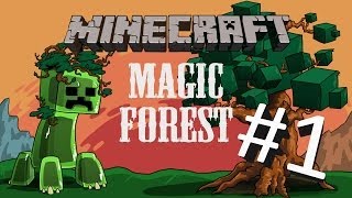 Watch Destiny Magic Forest video