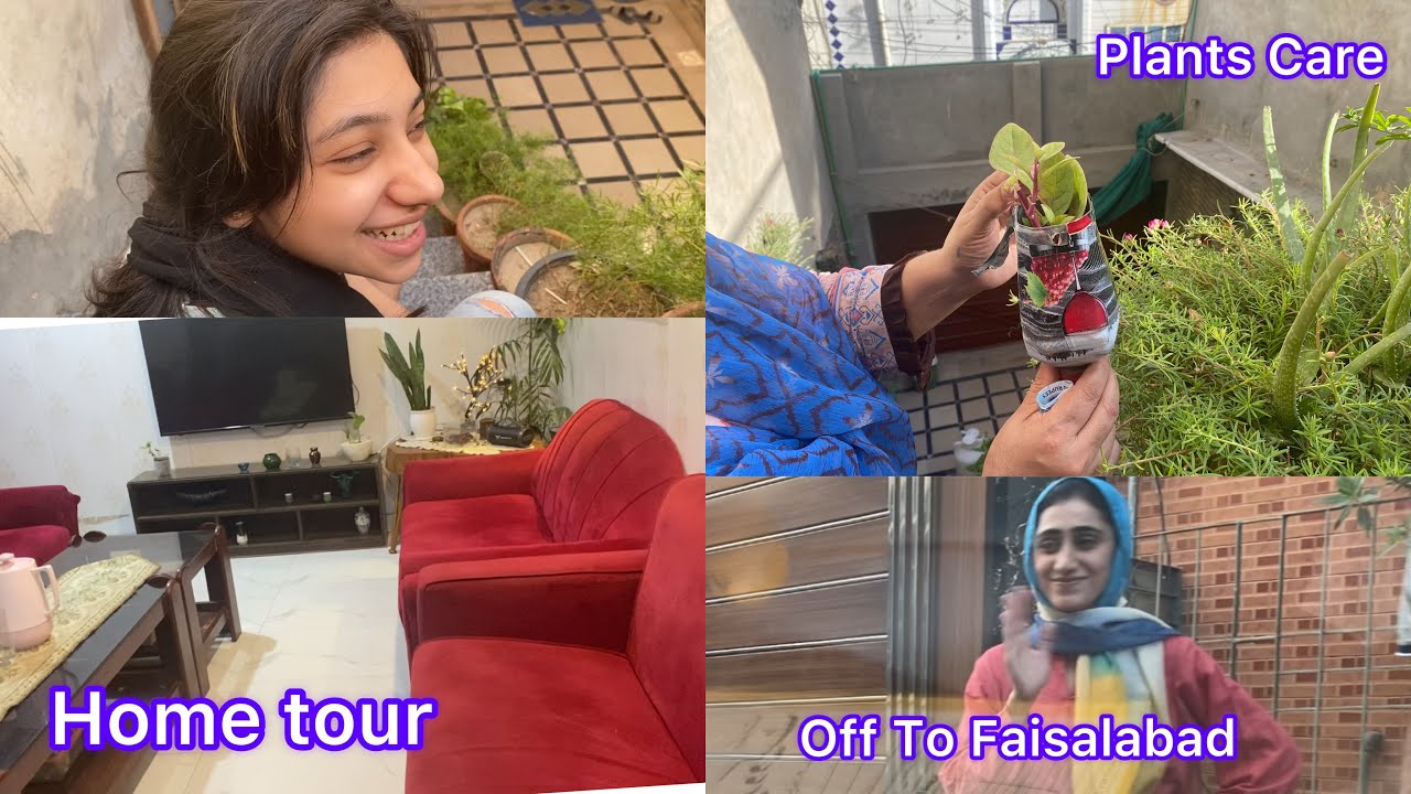 Home Tour | Off To Faisalabad | Plants 🌳 Care  Tips | Family Vlogs | Fun Vlogs | Daily Vlogs |