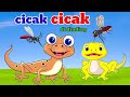 Lagu anak Cicak Cicak Di Dinding / Lagu anak /Lagu anak Indonesia terpopuler