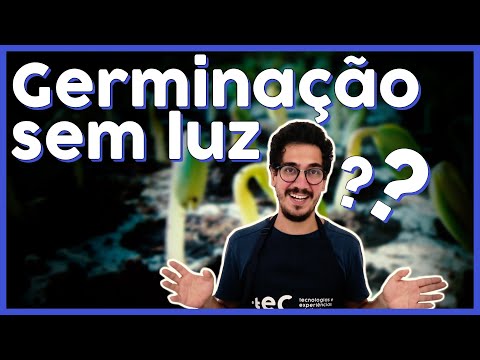 Vídeo: As plantas precisam de escuridão?