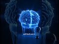 Facts 5 #facts #viral #amazingfacts #shorts