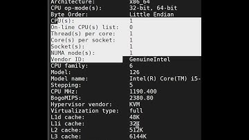lscpu command to know about cpu in Linux | Dailystudylinux  #learnlinux #linuxinterviewquestions
