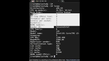 lscpu command to know about cpu in Linux | Dailystudylinux  #learnlinux #linuxinterviewquestions
