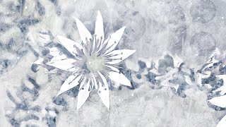 AARON HOLSTEIN: MINI ALBUM [2021]