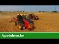 Két Versatile traktor extrém kötött talajon dolgozik!