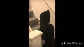 Gas mask horror movie