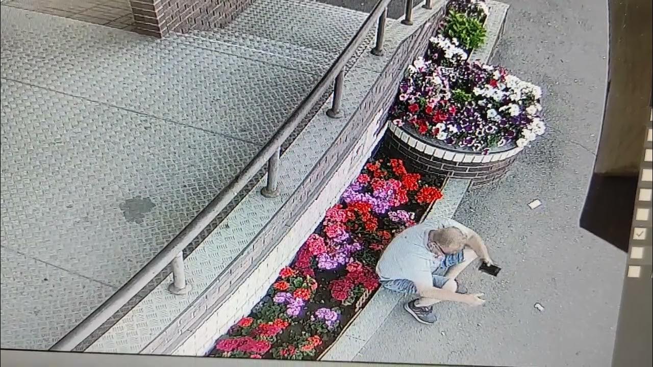 И опять, многострадальная клумба. г. Серпухов. Прибамбас. - YouTube