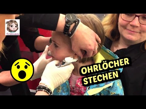 Video: Toy Loving Therapy Dog wählt jeden Abend ein anderes Plüschtier zum Kuscheln