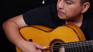 Guitarra flamenca blanca salvador castillo