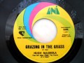 Hugh masekela - Grazing in the grass