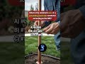 Electrical Quiz... Questions and Answers.Test Your Electrical Knowledge ⚡️💡 #electricalquiz