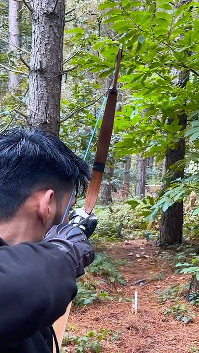 The arrow landed just above the kill #shorts