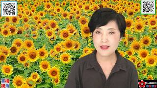 20200324-3【专家讲解】【美联储看到了大家看不到的】【全集】【寒梅视角】