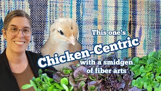 Outside with CHICKENS doesn&#39;t leave much time for FIBER ARTS, but I&#39;m managing!