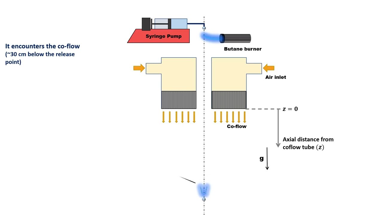 Flame transitions and stabilization mechanisms in a freely falling fuel