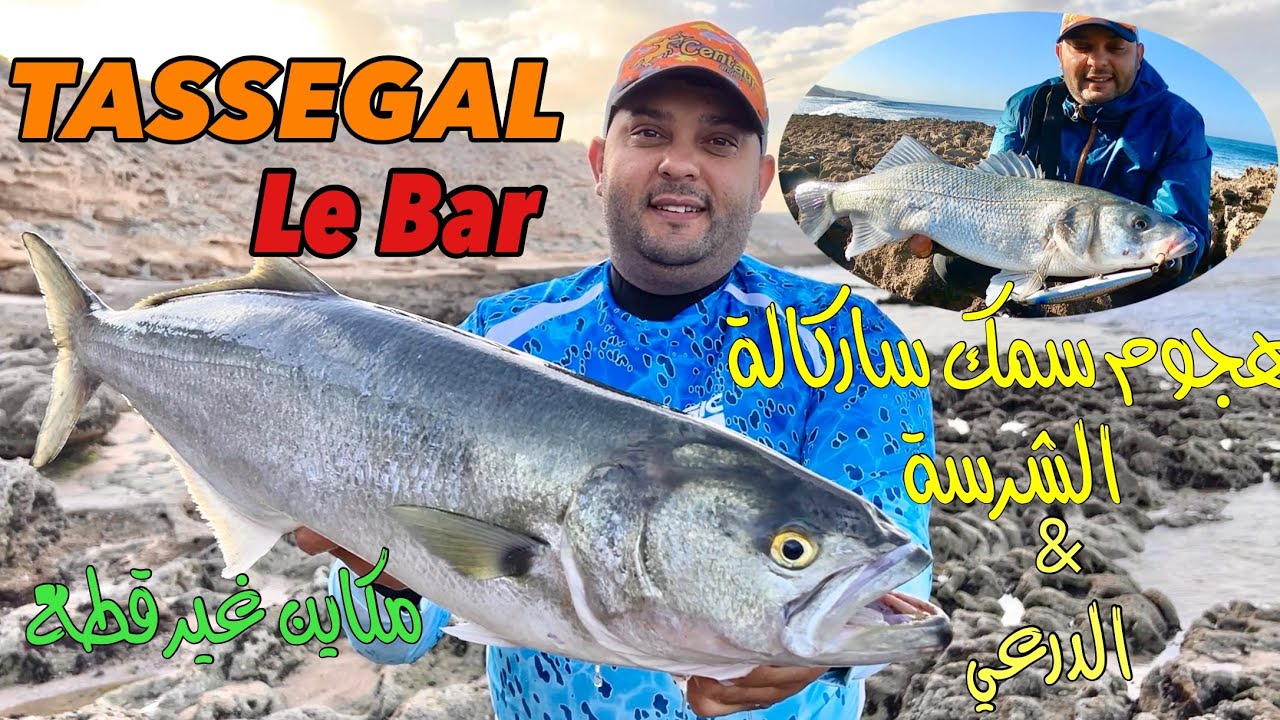 اجي تشوف معيا شيء خرافي فراجة ولا في الأحلام😱ساركالة والدرعي دايرين حالة النشاط والتقاوص 🎣🔥