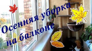 Осенняя уборка/Убираем балкон/Моем окна/Victoria BY Осенняя уборка/Убираем балкон/Моем окна/Victoria BY