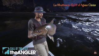 La Mostrenca Spirit Of Aguas Claras