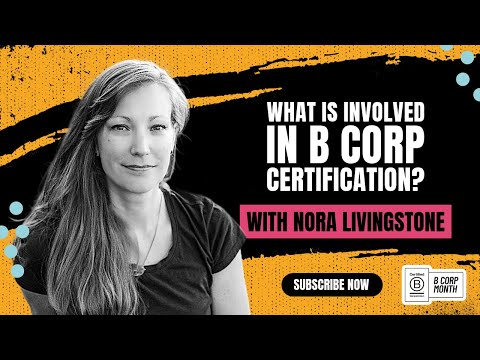 What is involved in B Corp certification | With Nora Livingstone of Animal Experience International