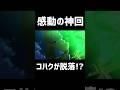 【ドクターストーン3期13話感想】感動の神回!コハクが脱落!?#shorts #anime #アニメ #ドクターストーン