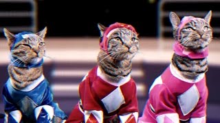 Mighty Morphin Meower Rangers - Meowphin Time! - Episode 1 screenshot 1