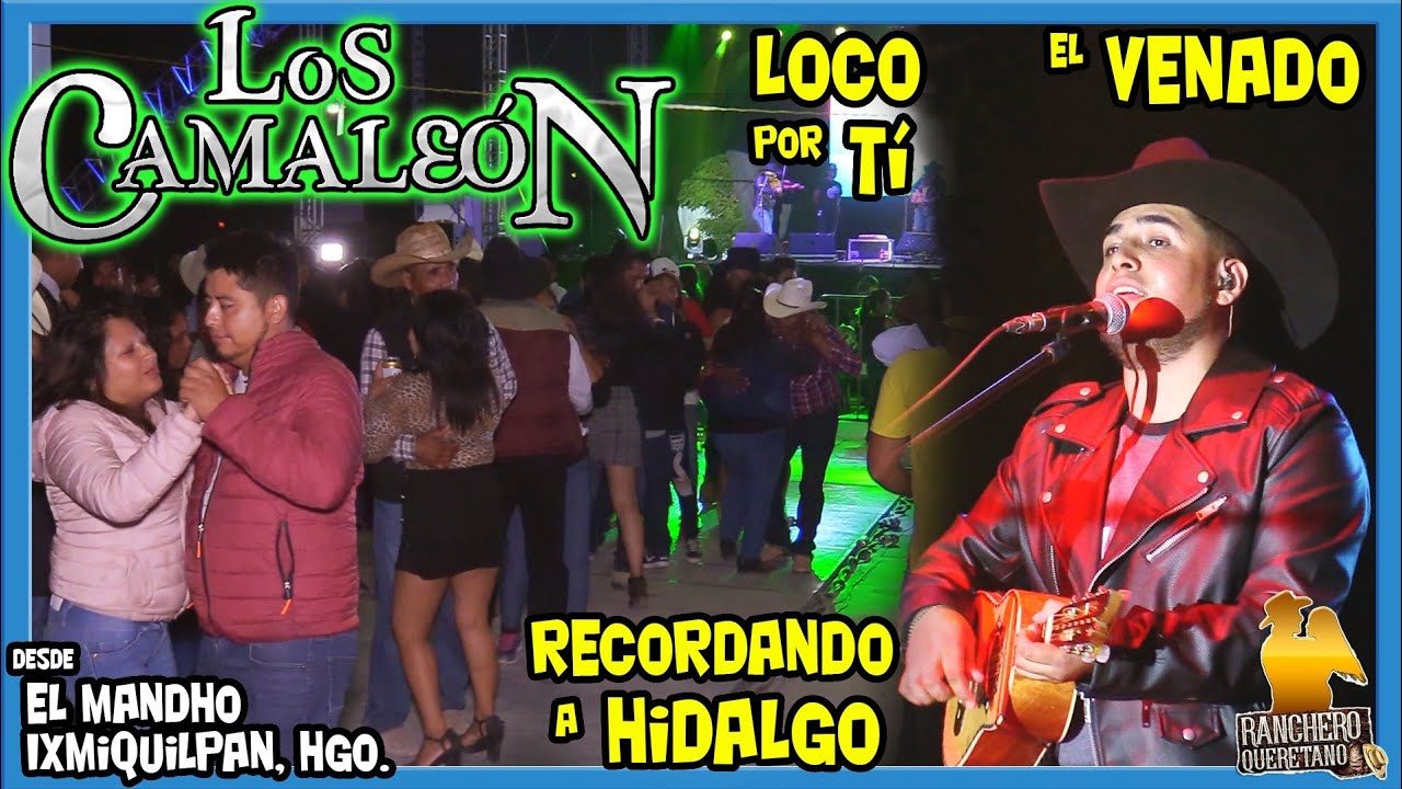 Los Camaleon Loco por ti el venado y recordando a Hidalgo