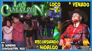 Los Camaleon Loco por ti el venado y recordando a Hidalgo - YouTube