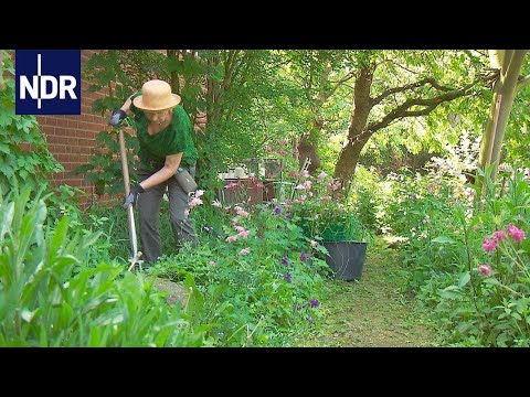 Video: Im Garten dankbar sein: Gründe für Gartendankbarkeit