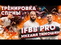 IFBB PRO Михаил Тимошин. Подготовка, прогресс, нюансы