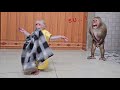 So funny cute monkey su naughty stole kukus clothes while bathing