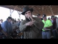 Auctioneer Clucking a Tune