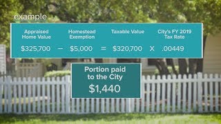 Understanding Your Property Tax Appraisal_2019