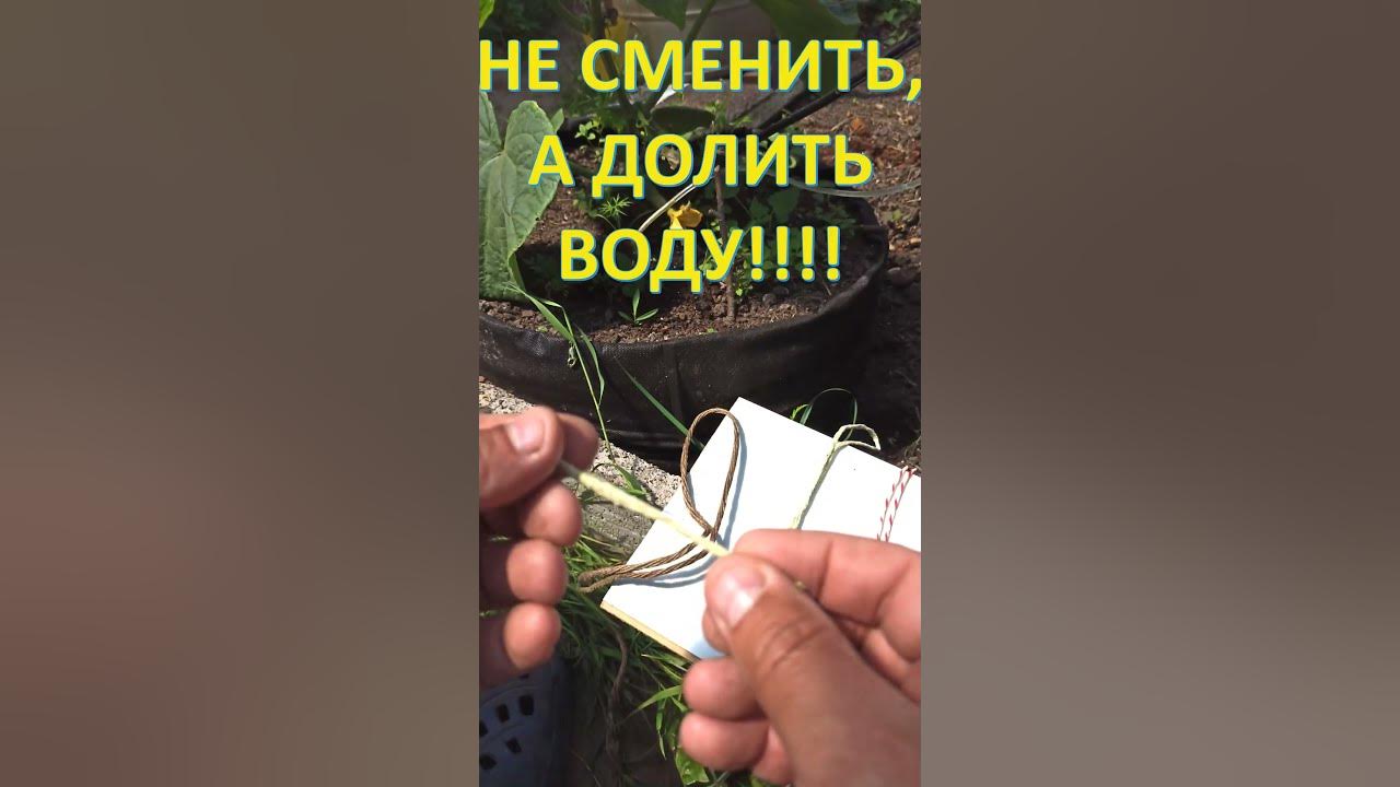 КАПЕЛЬНЫЙ ПОЛИВ ИЗ ПЭТ БУТЫЛКИ - ВЫВОДЫ - YouTube