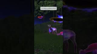 This forest isn't real