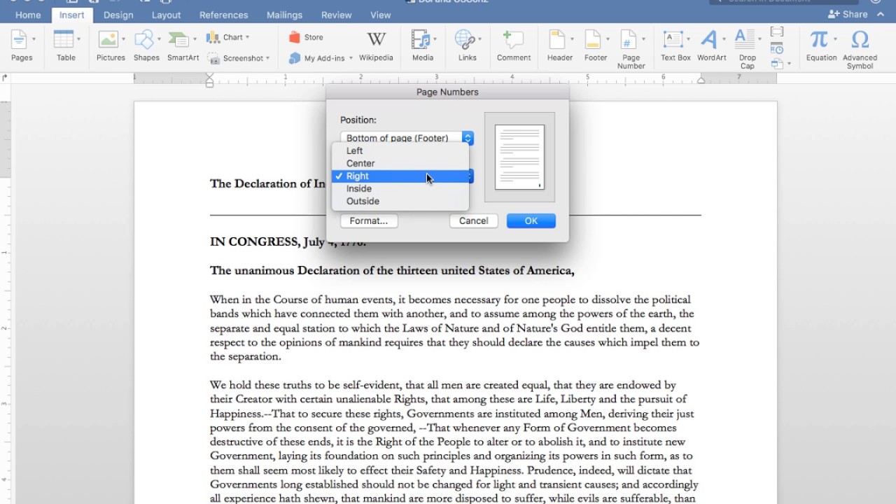 How to insert page break in word for mac