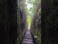 Lorong Lumut #explorebandung #jelajahkotabandung #upashill