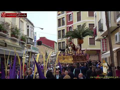 Real Cofradía de Nuestro Padre Jesús a su Entrada en Jerusalén y María Santísima del Amparo