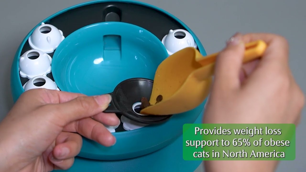 KADTC Cat Slow Feeder Bowl Interactive Puzzle Indoor Toy Product Display 2