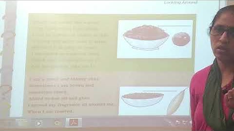 NCERT | CLASS IV | EVS | Chapter 25 | Spicy Riddles expln